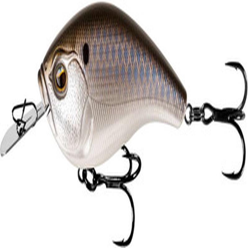 13 Fishing Jabber Jaw Hybrid Squarebill Crankbait - Black Back Shad