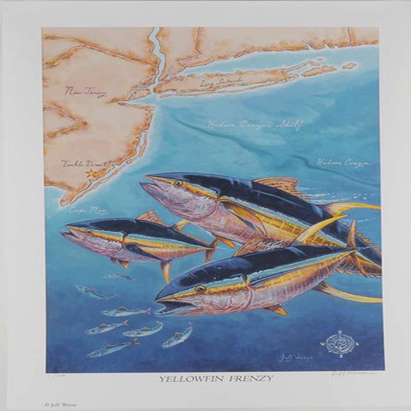 Penn Jeff Weese YellowFin Frenzy Print