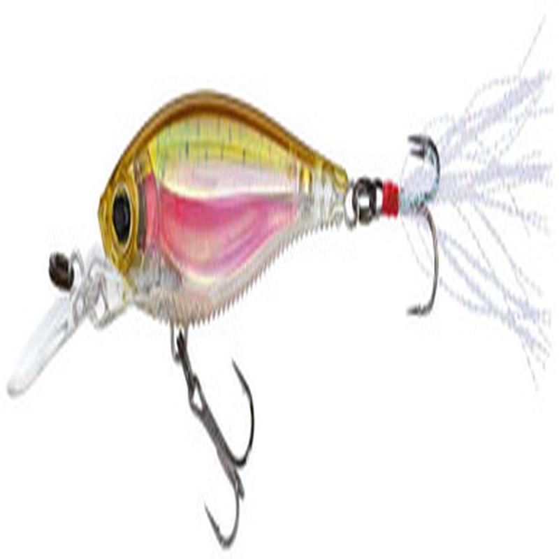 Yo-Zuri R1104 3DB Shad Lure RRT Real Rainbow Trout